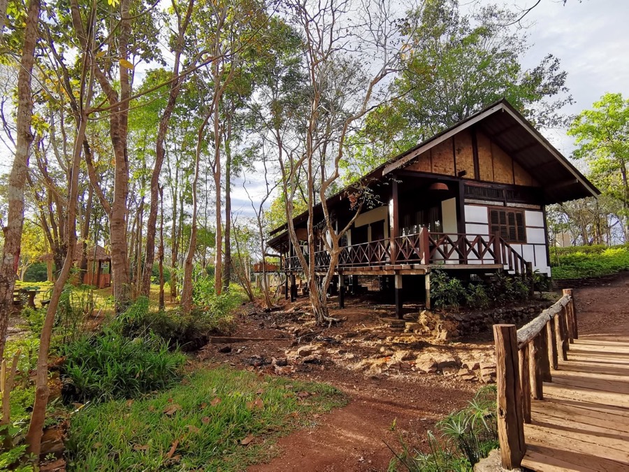 A wooden bungalow raised on stilts with a covered veranda, among tall trees